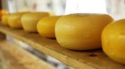 Анализ рынка сыра в России